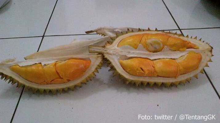 Durian Kencono Rukmi